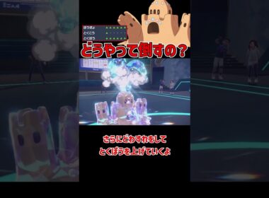 最強の要塞 シロデスナ