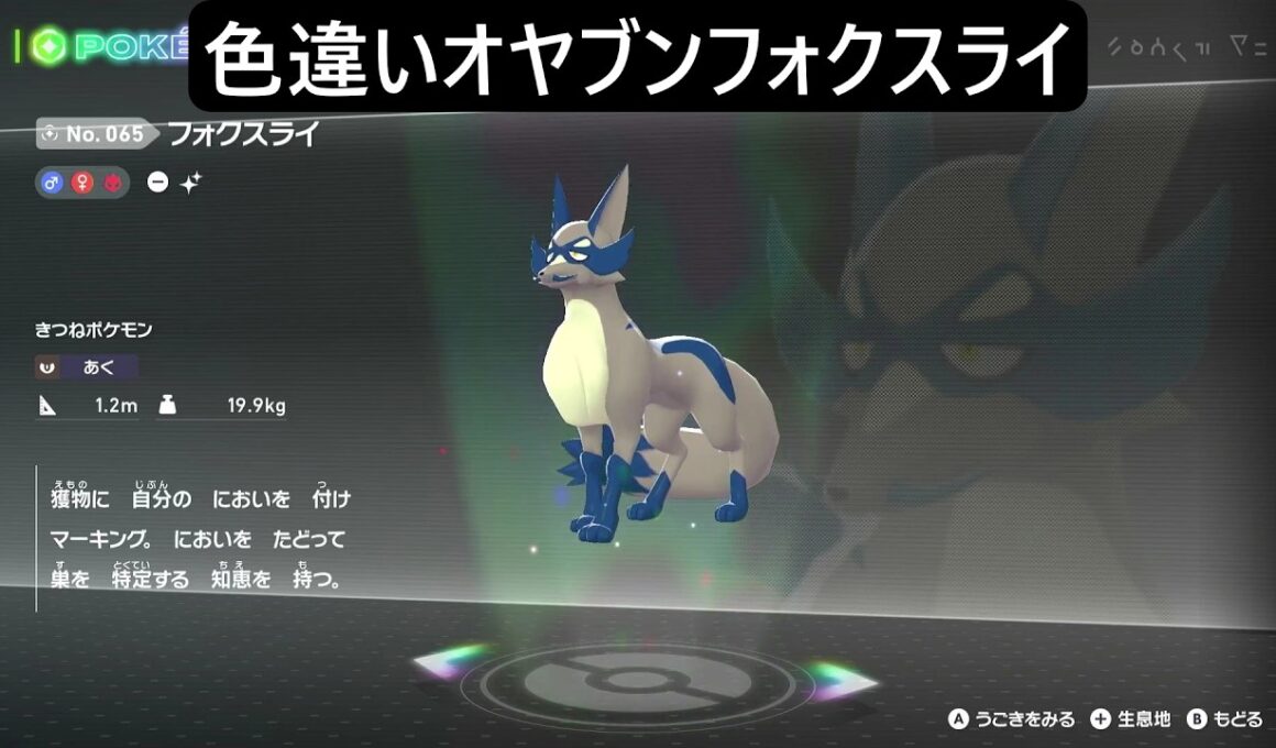 色違いオヤブンクスネ・フォクスライ ポケモンレジェンズZA M次元ラッシュ Pokémon LEGENDS Z-A Mega Dimension #ポケモン #ポケモンza