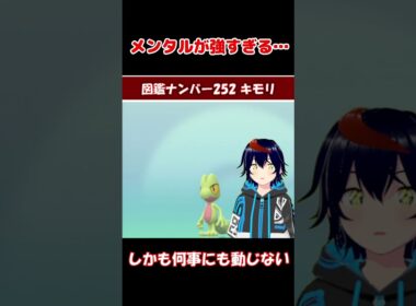 キモリ、メンタルが強すぎる【りるポケ図鑑】