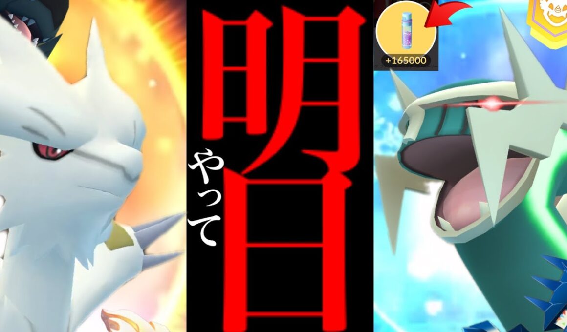 【今すぐに確認を⚠️】このあと必ずやって！？大量チャンスとガチるべき重要ポイントも・・。【ポケモンGO・シャドウディアルガ・レシラム・GOフェス結果報告・Pokémon GO】