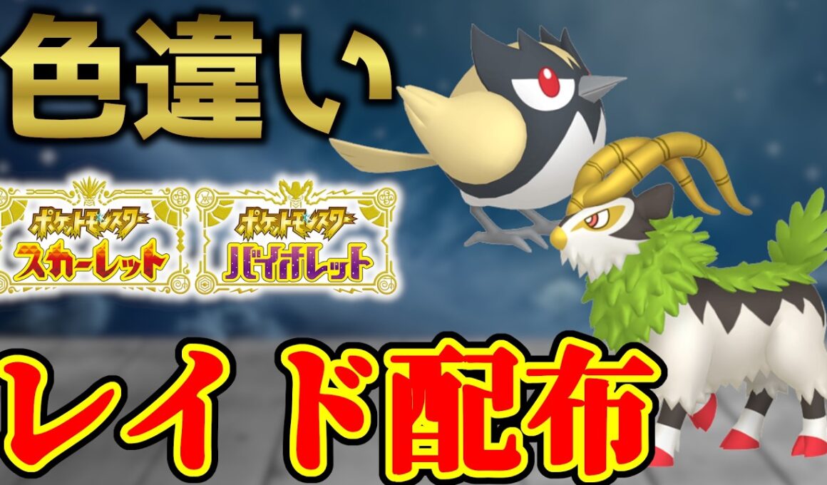 【ダブル金ピカ】 色ゴーゴート＆色ココガラ配布 shiny raid 【ポケモンSV】#参加型配信