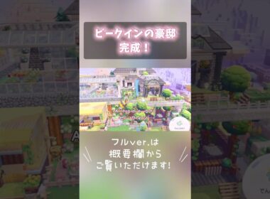 【ぽこあポケモン】ビークインの豪邸