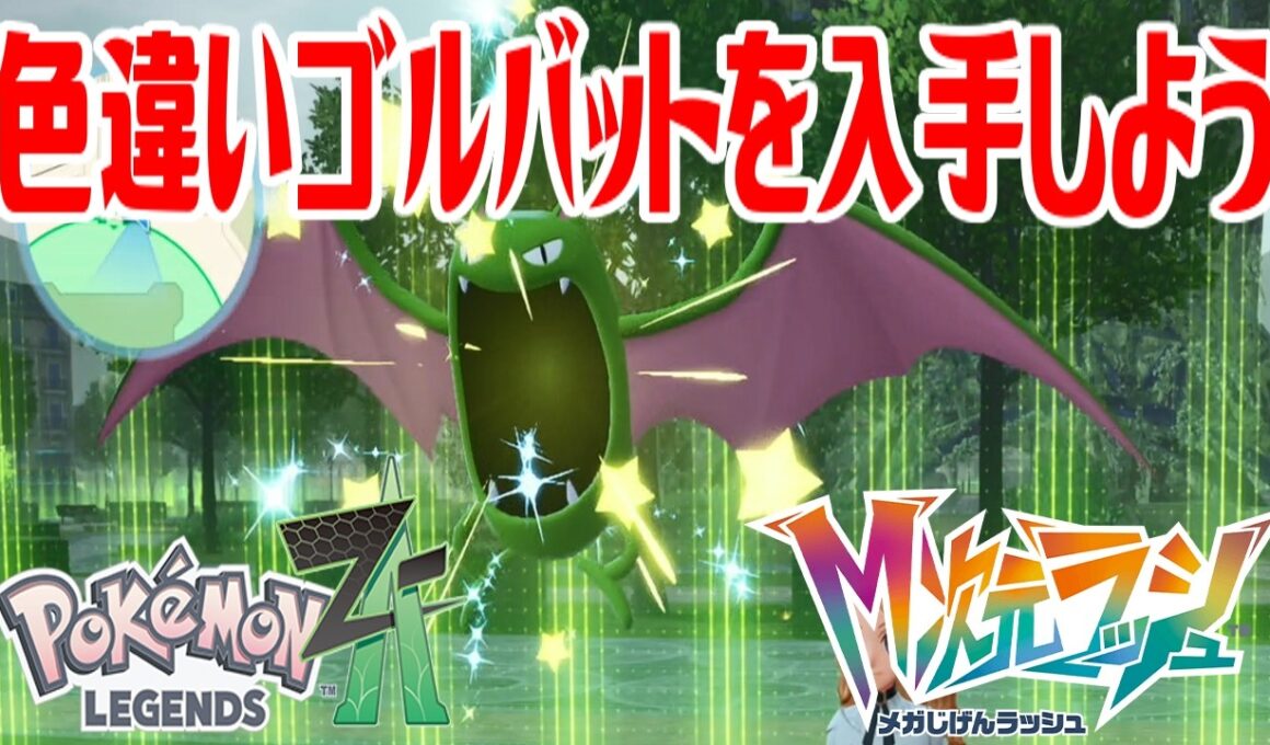 【ポケモンZ-A】色違いゴルバットを入手しよう 進化入手【Pokémon LEGENDS Z-A M次元ラッシュ】