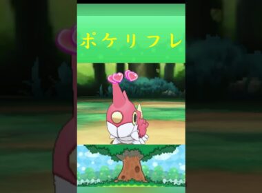 ポケモン ケムッソ ポケリフレ ポケパルレ #ポケモン #Pokemon  #3DS #ポケモン技 #ポケモンsv #ポケモン #ふれあい #キャンプ #カレー #サンドイッチ #ピクニック