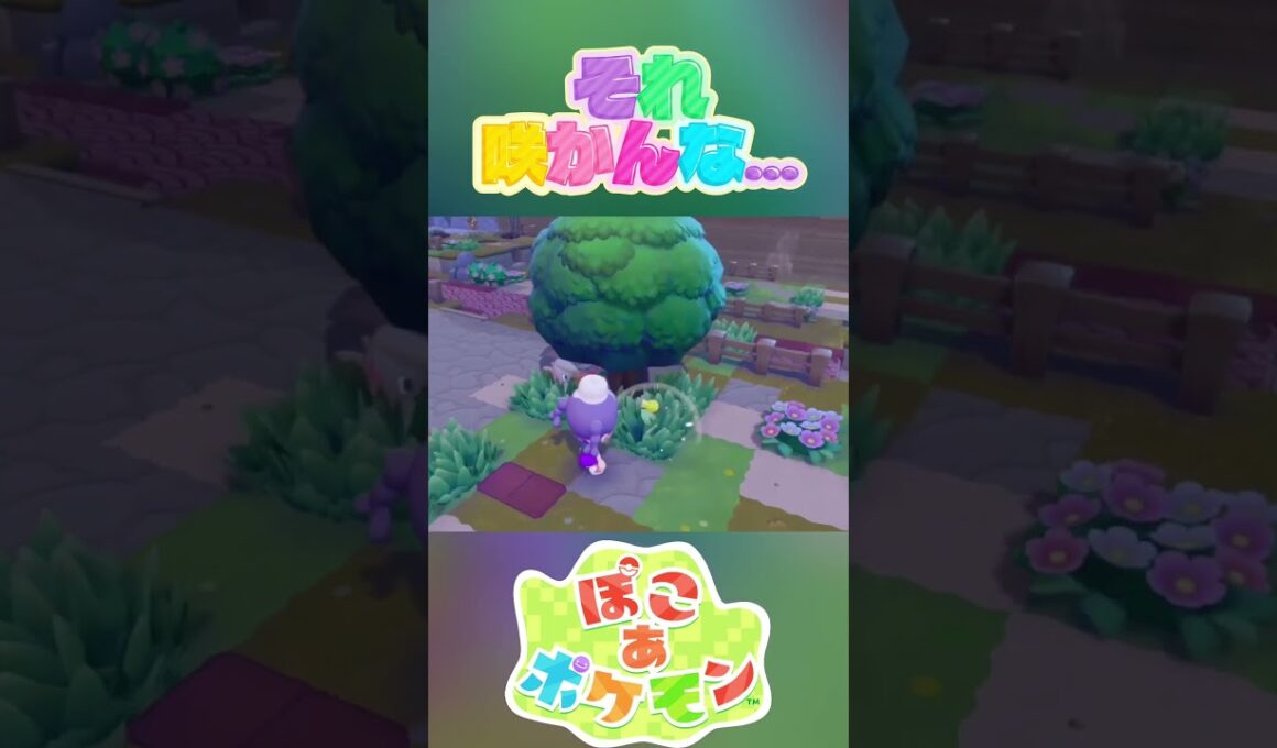 夢見るマダツボミ【ぽこ あ ポケモン】 #Shorts #ゲーム実況 #ポケモン #Pokemon #ぽこあポケモン #nintendo
