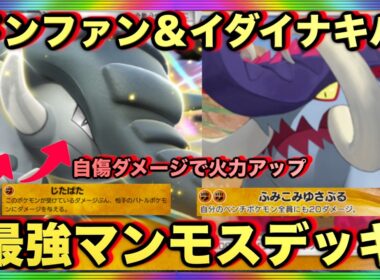 【ポケポケ】環境崩壊！？最強新型ドンファンex＆イダイナキバデッキが強すぎる！？マスターランクで連勝デッキ！ランクマ攻略！【Pokémon Trading Card Game Pocket】