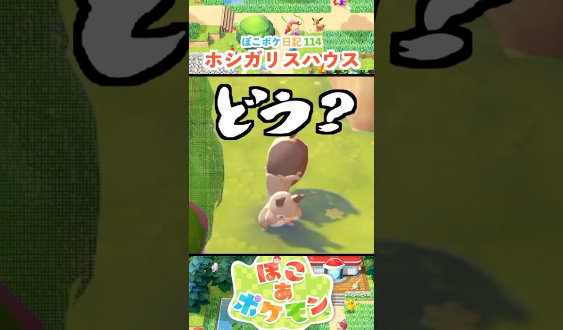 【ぽこあポケモン】ホシガリスハウスを作ろう
