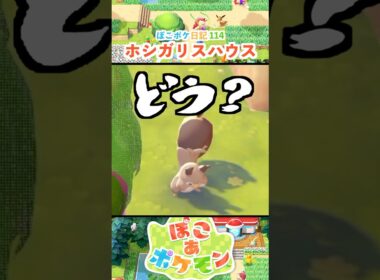 【ぽこあポケモン】ホシガリスハウスを作ろう