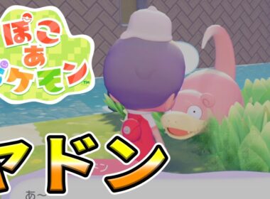 【ぽこあポケモン】ヤドンを仲間にして、あくびをさせよう