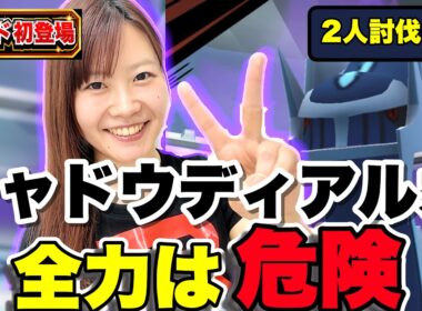 シャドウディアルガレイド‼️全力は危険⚠️【2人討伐・使い道】