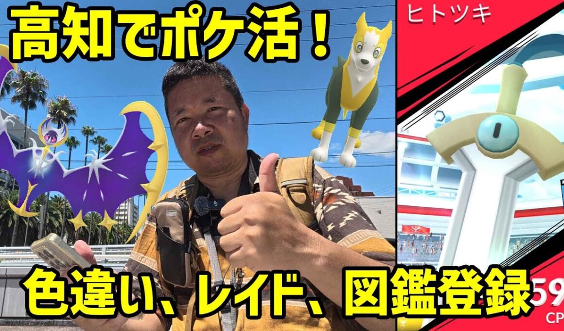 【ポケモンGO】南国土佐で色違いペラップ狙ったり、図鑑未登録ポケモンを追ったり【岡山高知ポケ活】