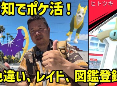 【ポケモンGO】南国土佐で色違いペラップ狙ったり、図鑑未登録ポケモンを追ったり【岡山高知ポケ活】