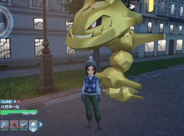 🔴【ポケモン剣盾】色違いイオルブを知っているか。【雑談】
