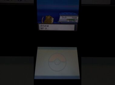 ポケットモンスター　ハートゴールド　ラッタ　ふいうち　よく似合う　#ポケモン