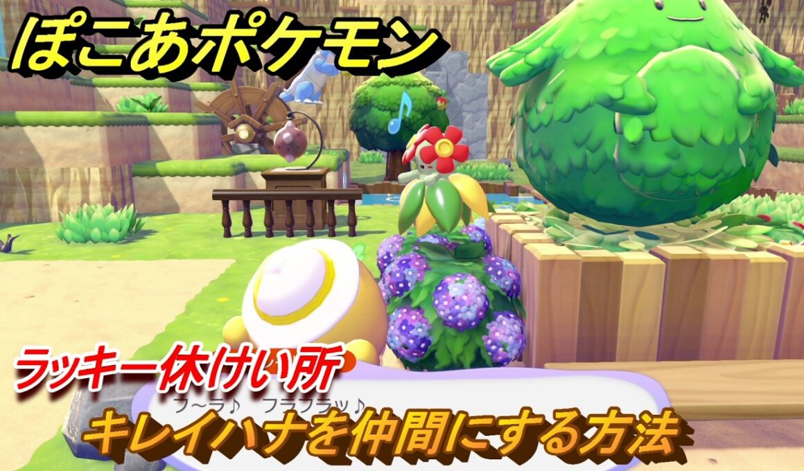 ぽこあポケモン　キレイハナを仲間にする方法　ラッキー休けい所　＃３３３　【ぽこポケ】