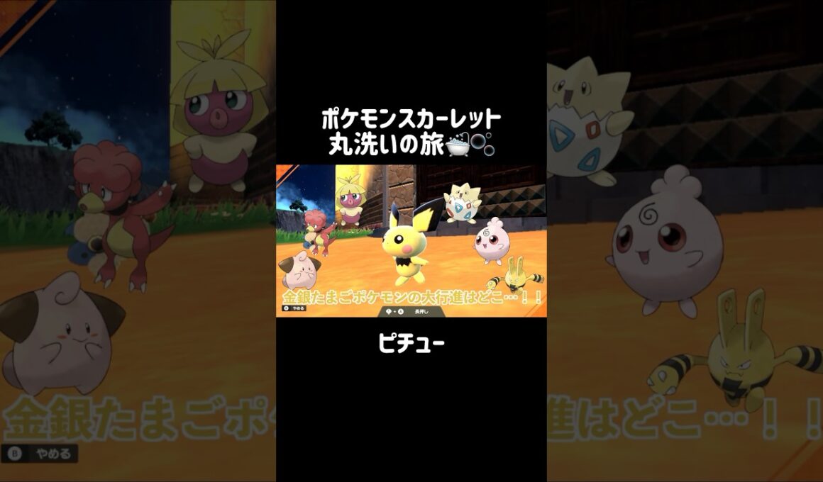 かわいいあかちゃんピチューを洗うと...？👶⚡️ #ピチュー #Pichu  #ポケモンsv #ポケモンスカーレット #ポケモン #pokemon #short