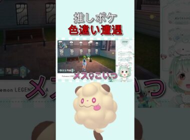 【ポケモンZA】色違いペロッパフがかわいすぎて発狂【Vtuber】#shorts