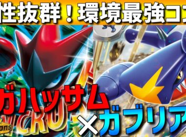 【レンタル有】相性抜群最強コンビ！ガブリアス×メガハッサムがガチで強すぎるwww【#ポケモンチャンピオンズ 】