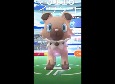 【Pokémon GO】めっちゃかわいい 色違いイワンコ【Shiny】