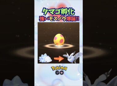 タマゴ孵化！強いモスノウ爆誕‼【ポケモンGO】