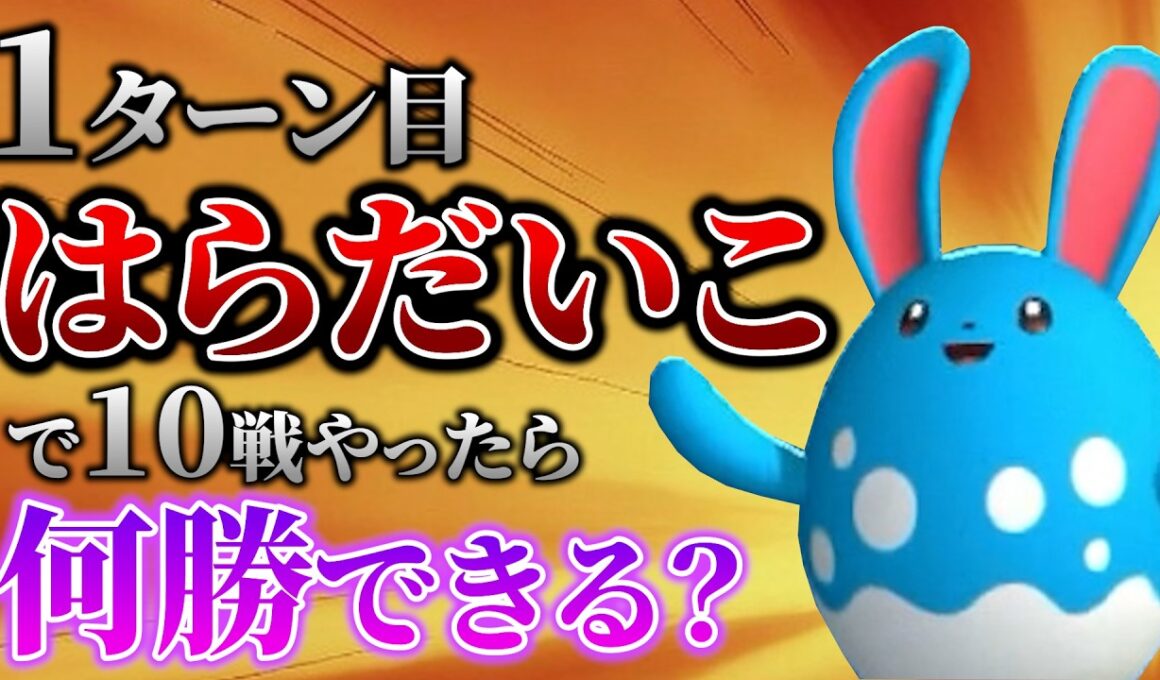 【検証】初手『はらだいこ』マリルリで10戦やったら何勝できる？【ポケモンチャンピオンズ】