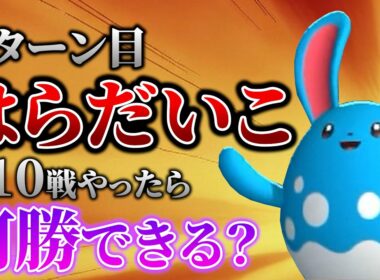 【検証】初手『はらだいこ』マリルリで10戦やったら何勝できる？【ポケモンチャンピオンズ】