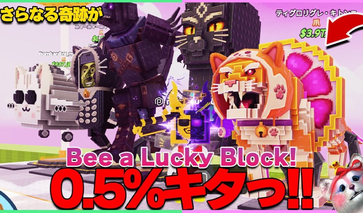 【激レア】最後の0.5%キャラを追い続けた結果、さらなる奇跡が起こった…🐈【ラッキーブロックになる｜Be a Lucky Block】