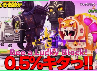 【激レア】最後の0.5%キャラを追い続けた結果、さらなる奇跡が起こった…🐈【ラッキーブロックになる｜Be a Lucky Block】