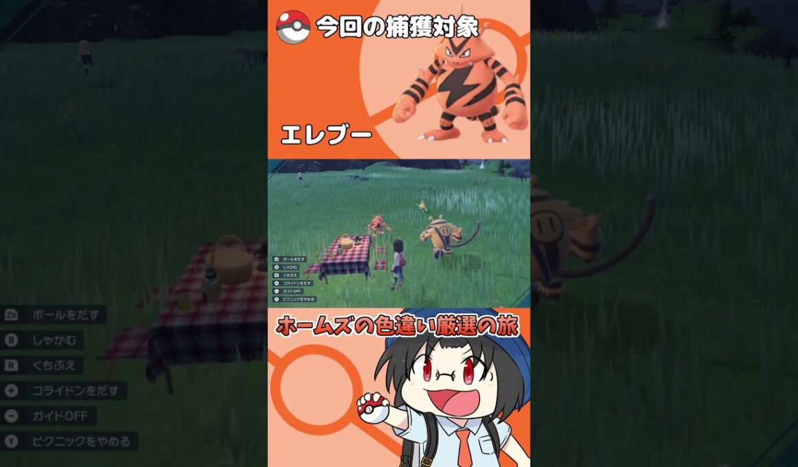 色違い厳選の旅「エレブー」