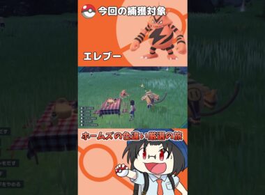 色違い厳選の旅「エレブー」