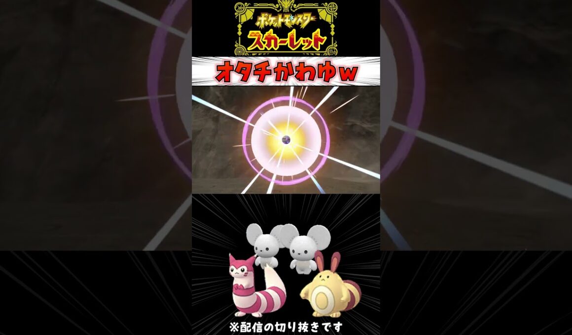 【ポケモンSV】オタチオオタチカワイイナ #ポケモンSV #ゲーム実況 #色違い