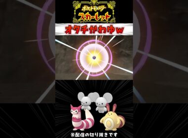 【ポケモンSV】オタチオオタチカワイイナ #ポケモンSV #ゲーム実況 #色違い