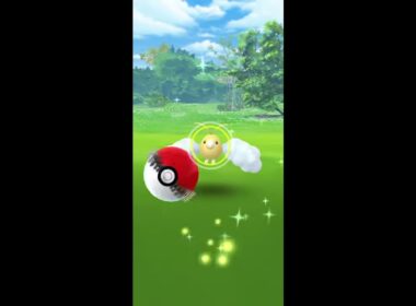 【Pokémon GO】色違い チルット  GET✨