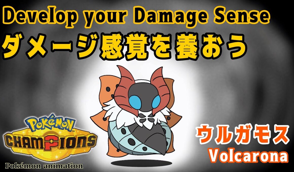【ポケモンチャンピオンズ】ダメージ感覚を養おう！：ウルガモス編