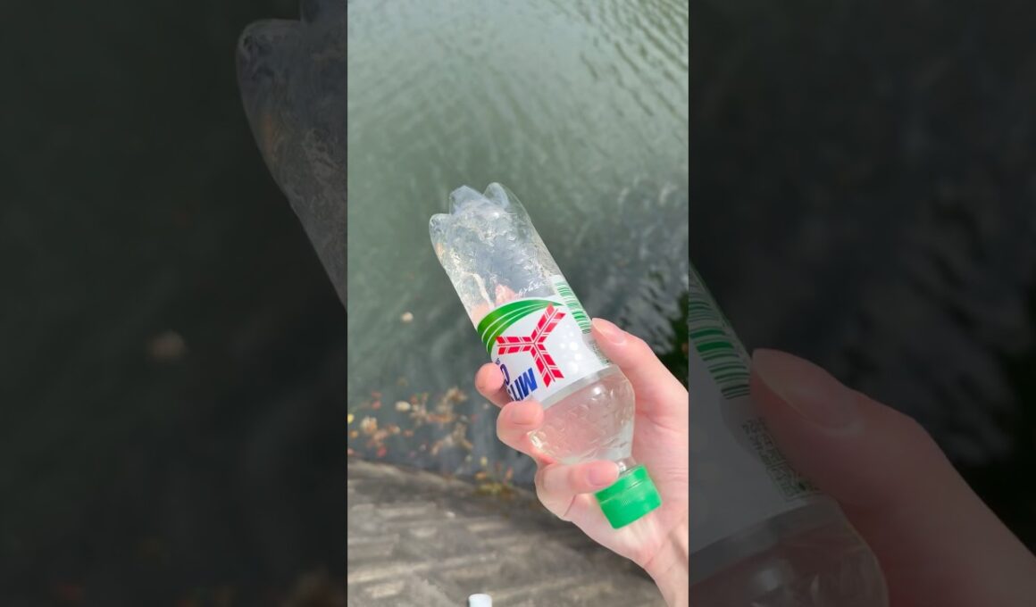 三ツ矢サイダーを捨ててみたw