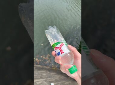 三ツ矢サイダーを捨ててみたw