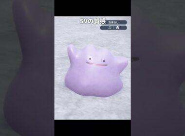 メタモンの質感が最高に素敵な理由 | ぽこあポケモン/ポケモン