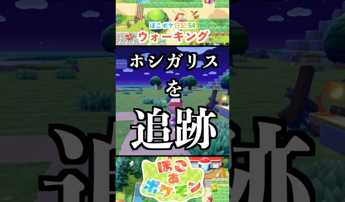 【ぽこあポケモン】ホシガリスさんどこ行くの？