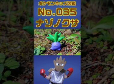 ポケモン実体図鑑No 035ナゾノクサ #ポケモンキッズ#ナゾノクサ