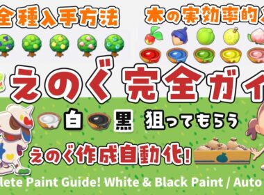 【ぽこポケ】えのぐ完全ガイド！ 白・黒を狙うコツから自動で無限入手！ Ultimate Paint Guide! White & Black Tips + Auto Infinite Farm