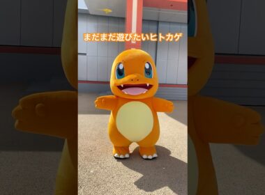 【ポケパーク】まだまだ遊びたいヒトカゲ🔥⟡.· #ポケパーク #ポケモン #shorts