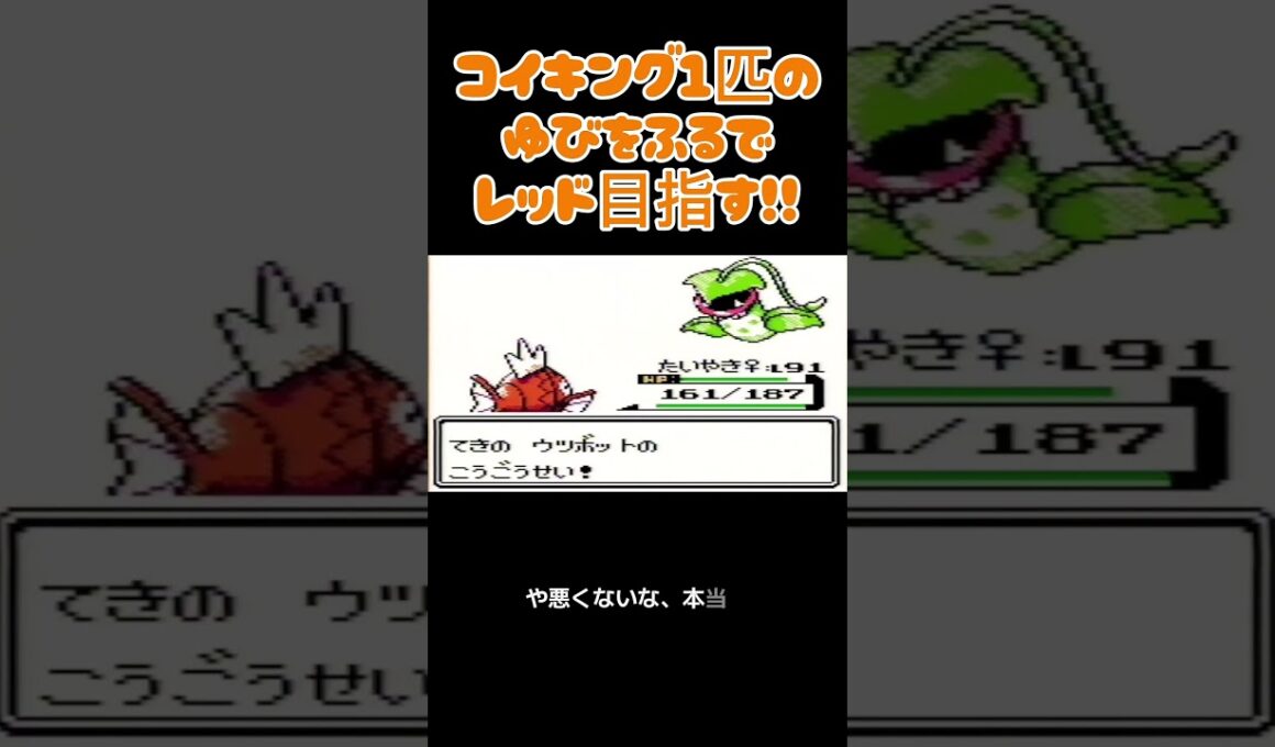【ポケモン金銀】コイキングのゆびをふるで殿堂入りを目指す。ポケモン1匹縛りプレイ‼コイキング君に決めた‼【縛りプレイ】#ポケモン金銀 #コイキング #ゆびをふる #縛りプレイ #ゲーム実況