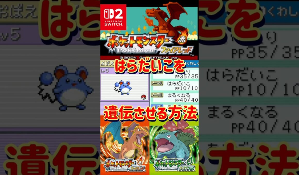 【ポケモンFRLG】マリルにはらだいこを遺伝させる方法解説します【#ファイアレッド#リーフグリーン】