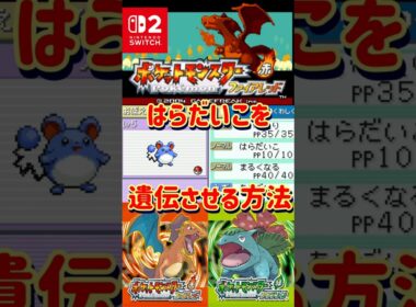 【ポケモンFRLG】マリルにはらだいこを遺伝させる方法解説します【#ファイアレッド#リーフグリーン】