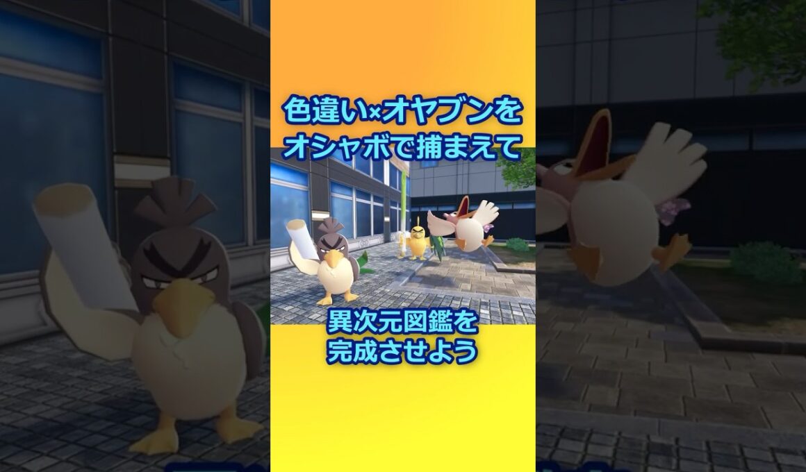 色違いオヤブンをオシャボで捕まえて異次元図鑑を完成させたい！Part 3 カモネギ編 #ポケモンza #ポケモン #色違い #カモネギ #ネギガナイト