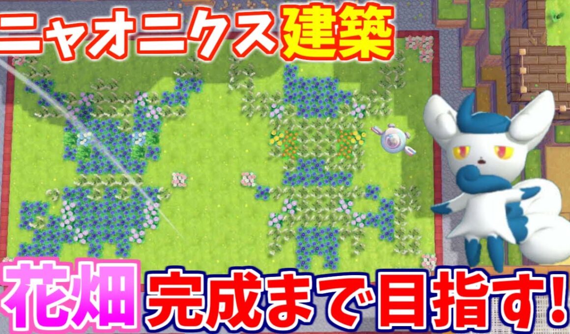 ニャオニクスの花畑を完成させる配信！【ぽこあポケモン】