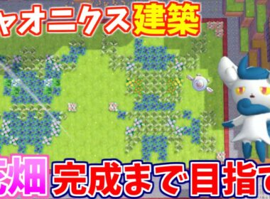 ニャオニクスの花畑を完成させる配信！【ぽこあポケモン】