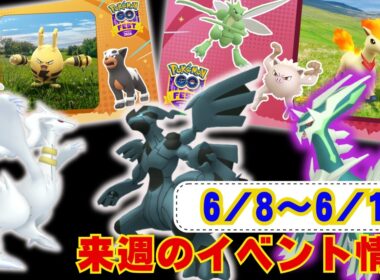 来週はDMAXエレブーが初実装！レイドでもゼクロムが復刻！6月8日から6月14日までのイベントまとめラジオ感覚でお聞きください【ポケモンGO】
