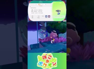 【ぽこあポケモン】ドロンチ