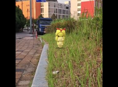 캐터피 ( Caterpie ) キャタピー ( 綠毛蟲 )